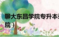 聊大东昌学院专升本录取分数线（聊大东昌学院）