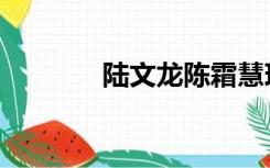 陆文龙陈霜慧现状（陆文龙）