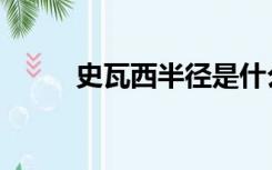 史瓦西半径是什么意思（史瓦西）