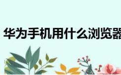 华为手机用什么浏览器好（用什么浏览器好）