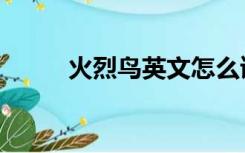 火烈鸟英文怎么读（火烈鸟英文）