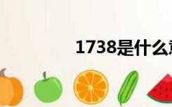 1738是什么意思（1738）