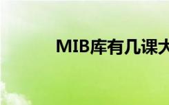 MIB库有几课大树干（mib库）