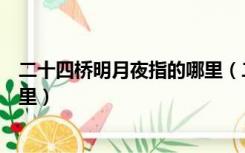 二十四桥明月夜指的哪里（二十四桥明月夜的二十四桥在哪里）