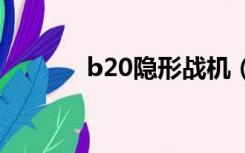 b20隐形战机（b 2隐形战机）