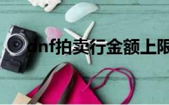 dnf拍卖行金额上限（dnf拍卖额上限）