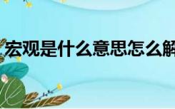 宏观是什么意思怎么解释（宏观是什么意思）