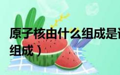 原子核由什么组成是谁发现的（原子核由什么组成）