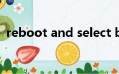 reboot and select boot device什么意思