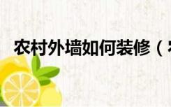 农村外墙如何装修（农村外墙怎么装修好）