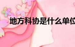 地方科协是什么单位（科协是什么单位）