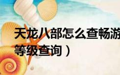 天龙八部怎么查畅游VIP（天龙八部畅游vip等级查询）