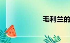 毛利兰的牛奶照片