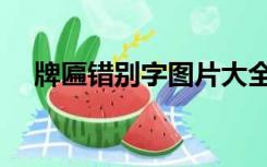 牌匾错别字图片大全（错别字图片大全）