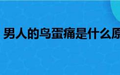 男人的鸟蛋痛是什么原因（蛋痛是什么原因）