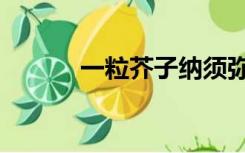 一粒芥子纳须弥（芥子纳须弥）
