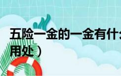 五险一金的一金有什么用处（五险一金有什么用处）