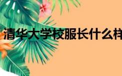 清华大学校服长什么样图片（清华大学校服）