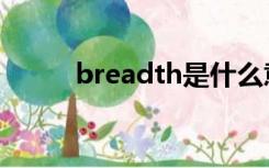 breadth是什么意思（breadth）