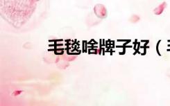 毛毯啥牌子好（毛毯什么牌子好）