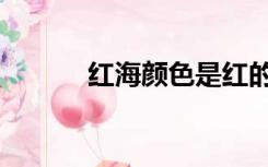 红海颜色是红的吗（红海颜色）