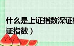 什么是上证指数深证板指创业板指（什么是上证指数）