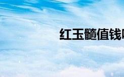 红玉髓值钱吗（红玉髓）
