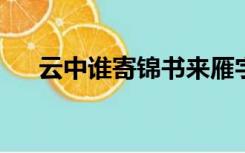 云中谁寄锦书来雁字回时月满西楼翻译
