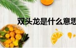 双头龙是什么意思（双头龙是什么）