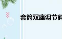 套筒双座调节阀（双座调节阀）