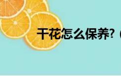 干花怎么保养?（干花怎么保养）