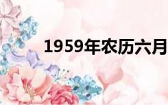1959年农历六月六（农历六月六）