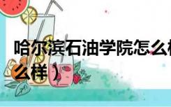 哈尔滨石油学院怎么样啊（哈尔滨石油学院怎么样）