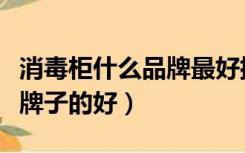 消毒柜什么品牌最好排名前十名（消毒柜什么牌子的好）