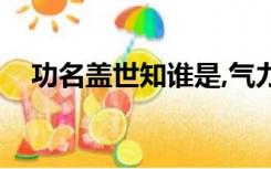 功名盖世知谁是,气力回天到此休（功名）