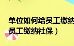 单位如何给员工缴纳社保 深圳（单位如何给员工缴纳社保）