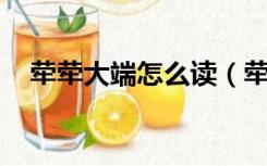 荦荦大端怎么读（荦荦大端 是什么意思）