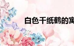 白色千纸鹤的寓意（鹤的寓意）