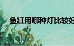 鱼缸用哪种灯比较好（鱼缸用什么灯好）