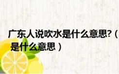 广东人说吹水是什么意思?（请问广东话 ldquo 吹水 rdquo 是什么意思）