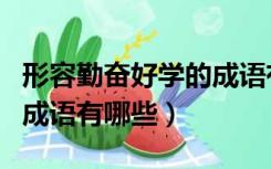 形容勤奋好学的成语有什么（表示勤奋好学的成语有哪些）