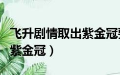 飞升剧情取出紫金冠要多少钱（飞升剧情取出紫金冠）