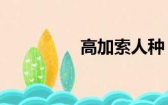 高加索人种（高加索人）