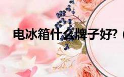 电冰箱什么牌子好?（电冰箱什么牌子好）