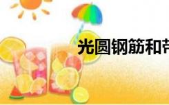 光圆钢筋和带肋钢筋符号