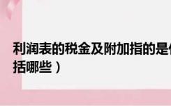 利润表的税金及附加指的是什么（利润表中的税金及附加包括哪些）