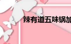 辣有道五味锅加盟费（辣有道）