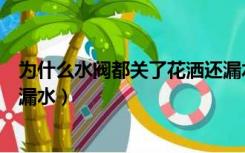为什么水阀都关了花洒还漏水了（为什么水阀都关了花洒还漏水）