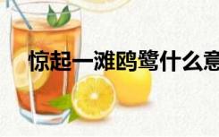 惊起一滩鸥鹭什么意思（惊起一滩鸥鹭）