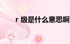 r 级是什么意思啊（r级是什么意思）